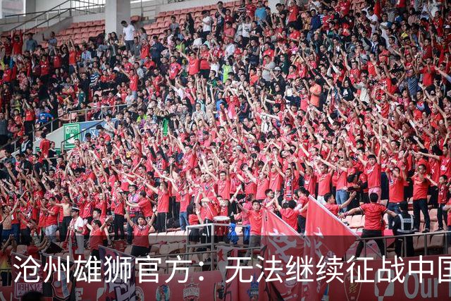 沧州雄狮官方：无法继续征战中国足球职业联赛